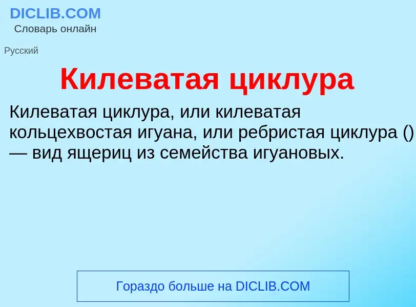 What is Килеватая циклура - meaning and definition