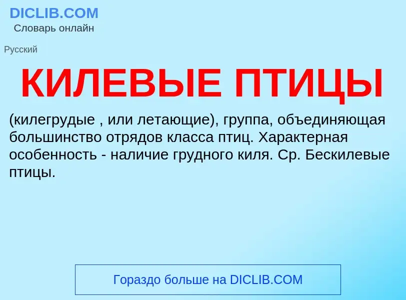 Wat is КИЛЕВЫЕ ПТИЦЫ - definition