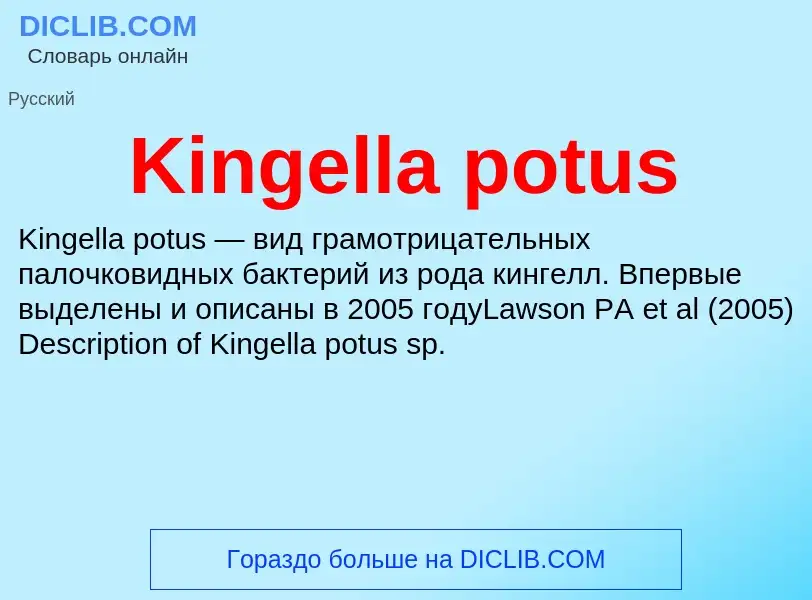 What is Kingella potus - meaning and definition