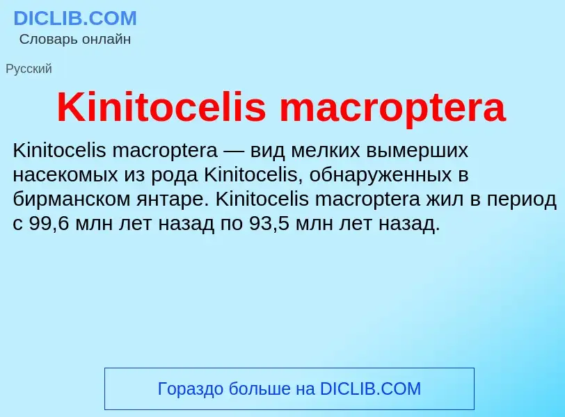 Was ist Kinitocelis macroptera - Definition