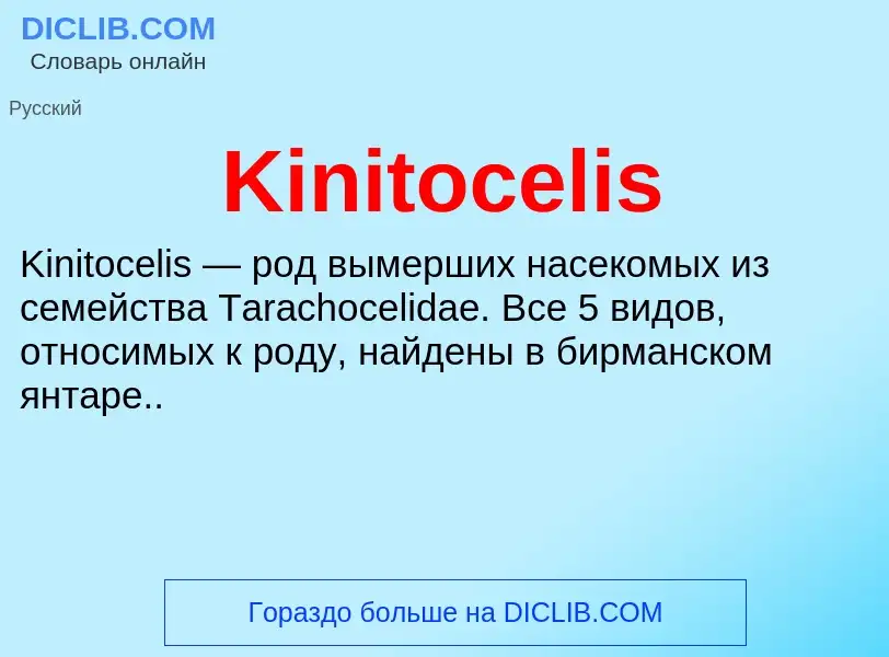 What is Kinitocelis - meaning and definition