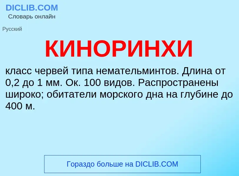 What is КИНОРИНХИ - definition