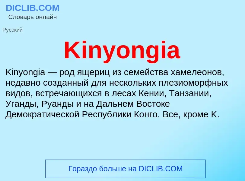 What is Kinyongia - meaning and definition