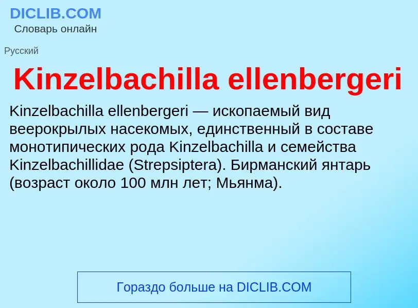 What is Kinzelbachilla ellenbergeri - meaning and definition