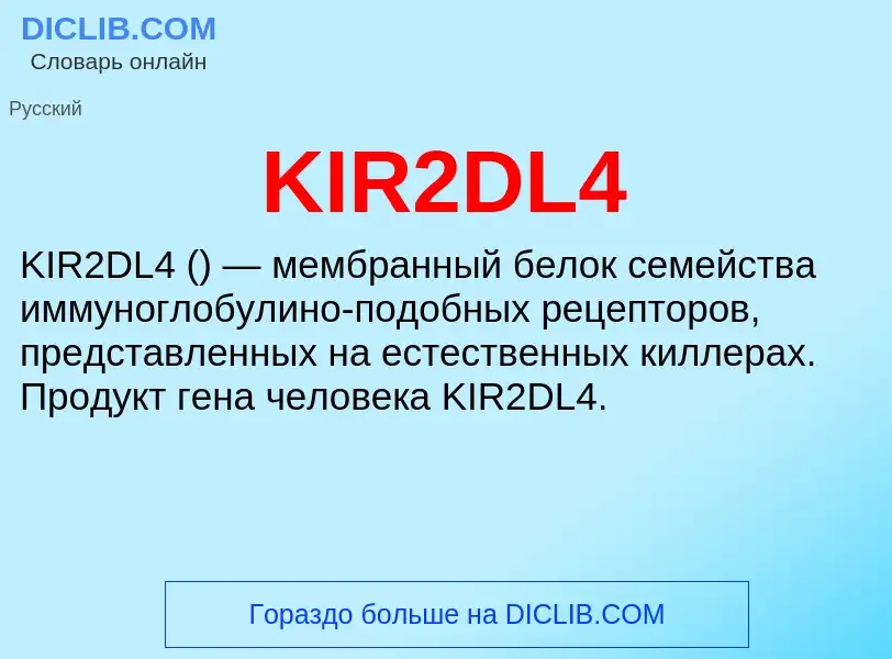 Что такое KIR2DL4 - определение