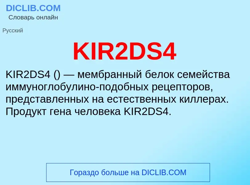 Что такое KIR2DS4 - определение