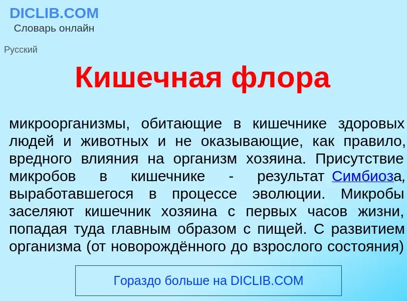 Wat is Киш<font color="red">е</font>чная фл<font color="red">о</font>ра - definition