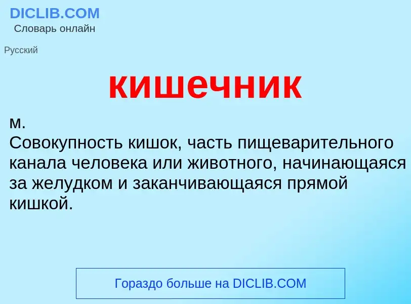 Wat is кишечник - definition