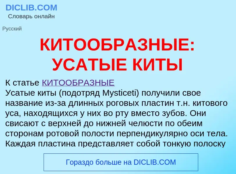 Что такое КИТООБРАЗНЫЕ: УСАТЫЕ КИТЫ - определение