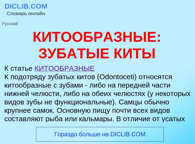 Что такое КИТООБРАЗНЫЕ: ЗУБАТЫЕ КИТЫ - определение