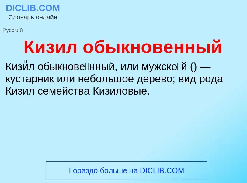 Wat is Кизил обыкновенный - definition