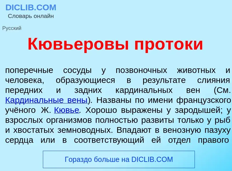 O que é Кювь<font color="red">е</font>ровы прот<font color="red">о</font>ки - definição, significado