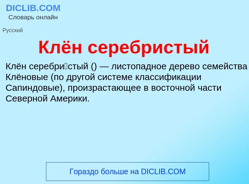 What is Клён серебристый - definition