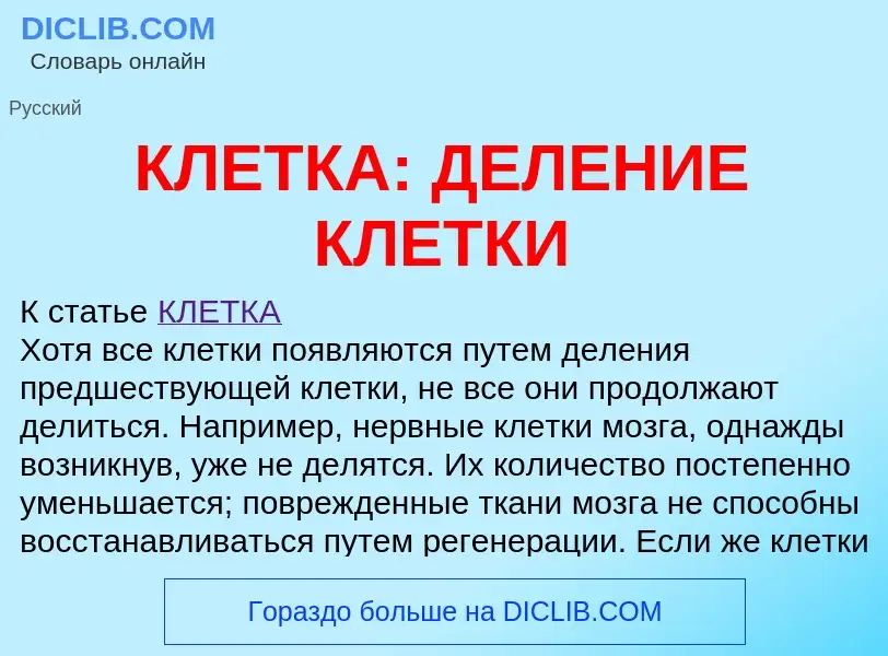 Che cos'è КЛЕТКА: ДЕЛЕНИЕ КЛЕТКИ - definizione