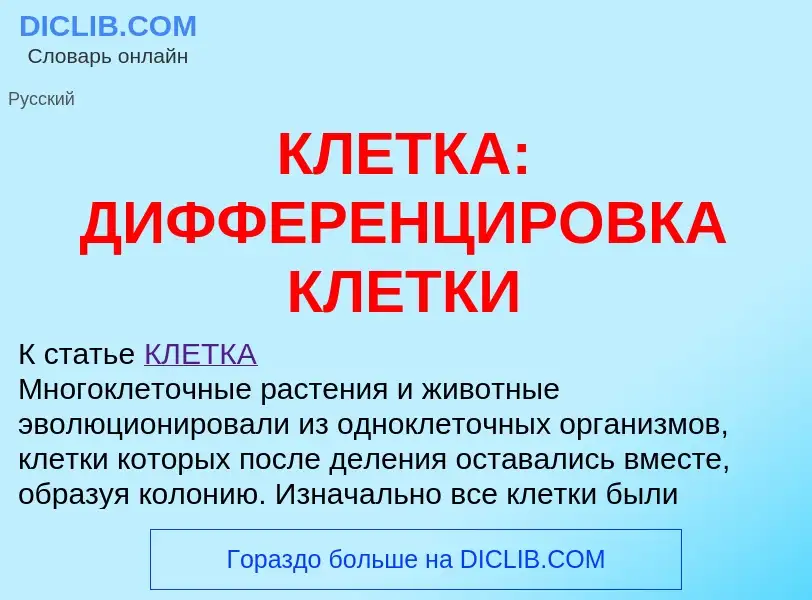 Wat is КЛЕТКА: ДИФФЕРЕНЦИРОВКА КЛЕТКИ - definition