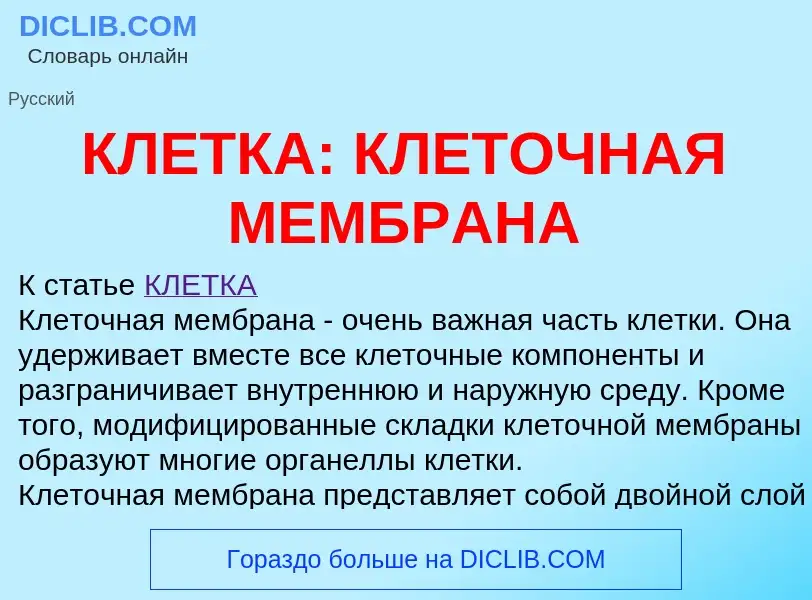 What is КЛЕТКА: КЛЕТОЧНАЯ МЕМБРАНА - meaning and definition