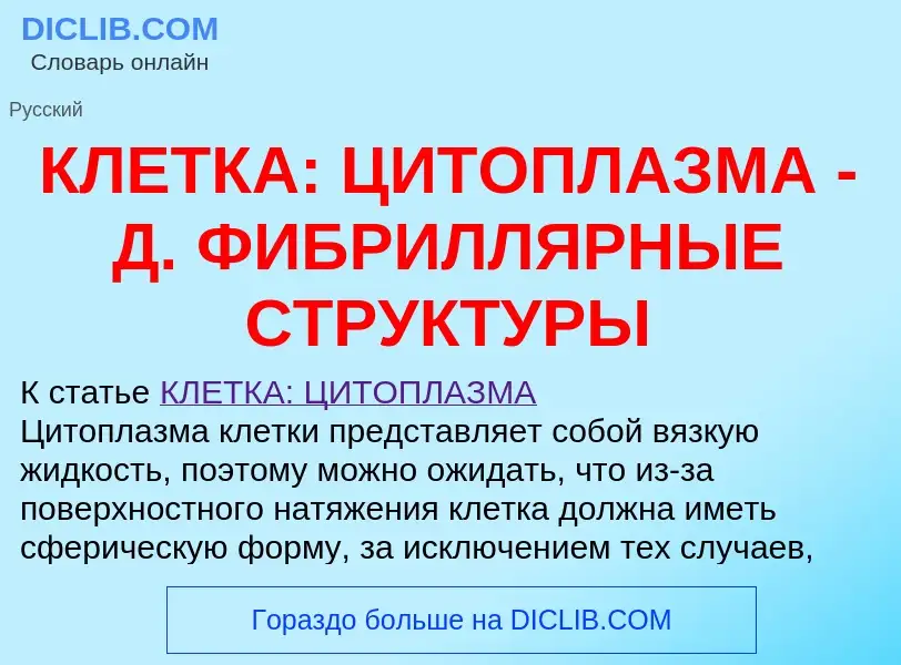 Che cos'è КЛЕТКА: ЦИТОПЛАЗМА - Д. ФИБРИЛЛЯРНЫЕ СТРУКТУРЫ - definizione