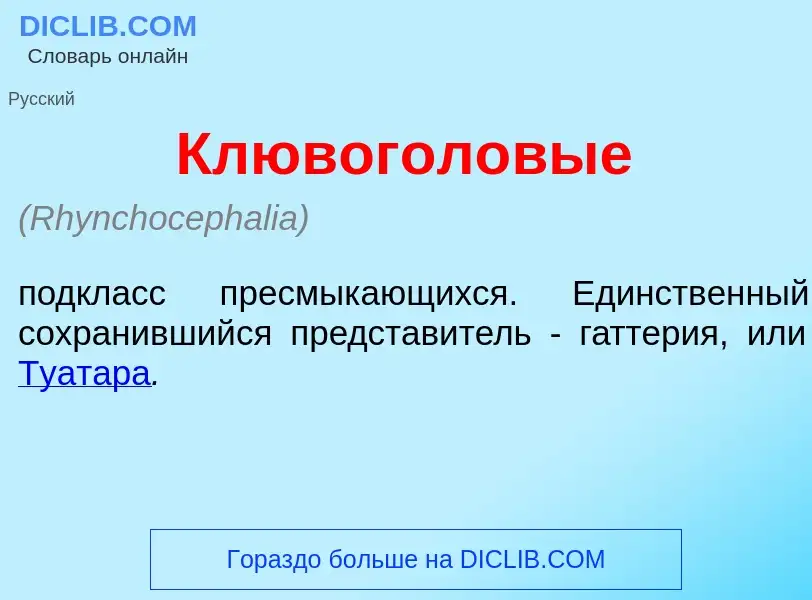 ¿Qué es Клювогол<font color="red">о</font>вые? - significado y definición