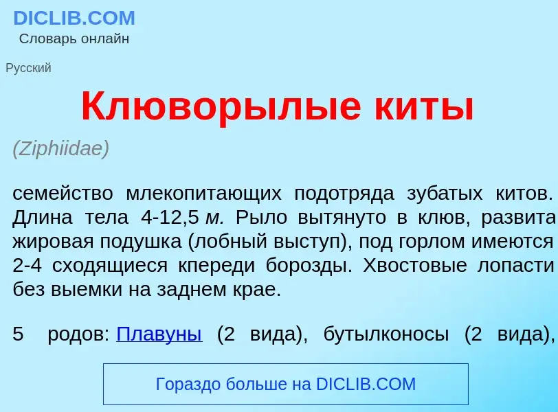 What is Клювор<font color="red">ы</font>лые кит<font color="red">ы</font> - meaning and definition