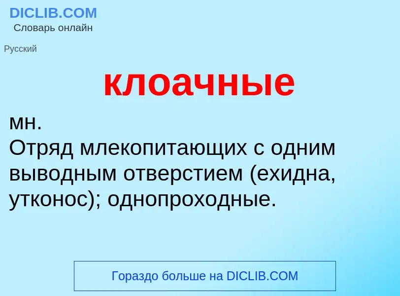 What is клоачные - definition