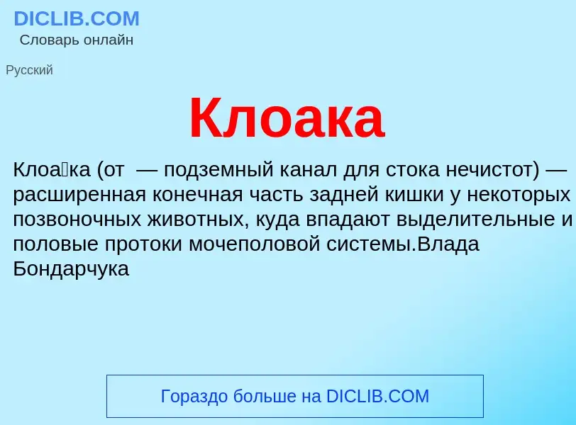 What is Клоака - definition