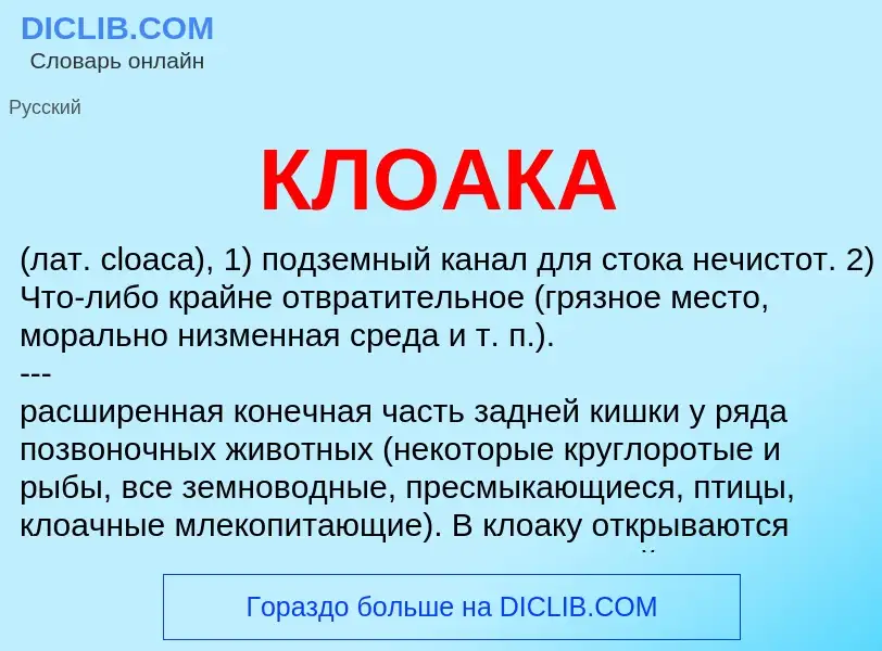 What is КЛОАКА - definition