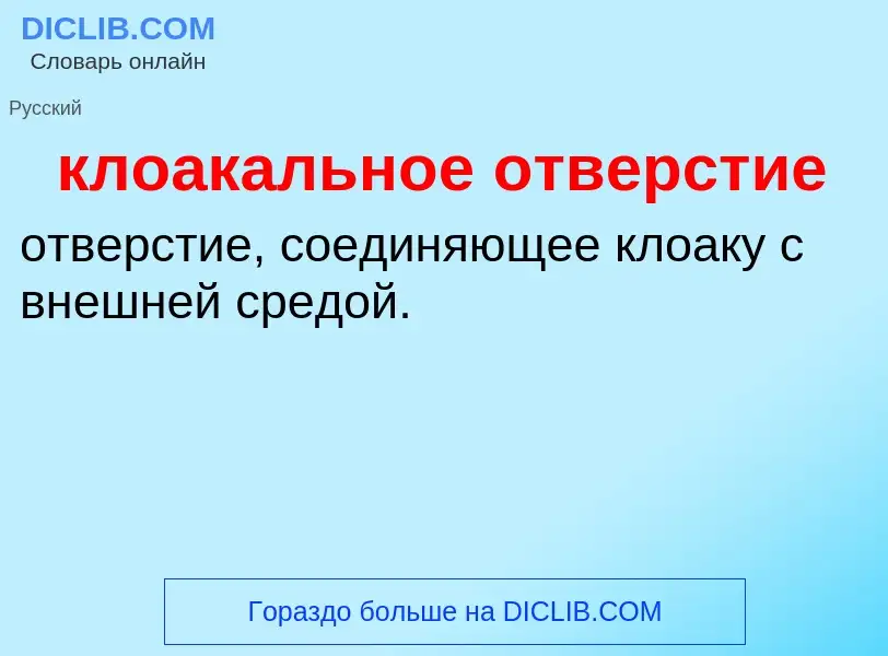 ¿Qué es клоакальное отверстие? - significado y definición