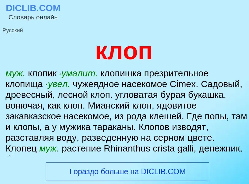 Что такое клоп - определение