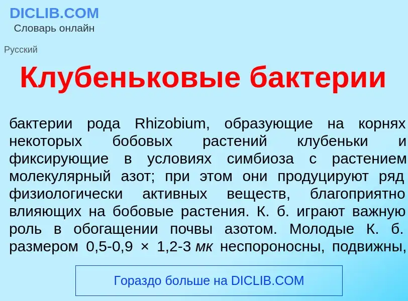 What is Клубеньк<font color="red">о</font>вые бакт<font color="red">е</font>рии - definition