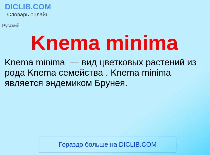 ¿Qué es Knema minima? - significado y definición