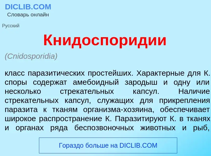 Was ist Книдоспор<font color="red">и</font>дии - Definition