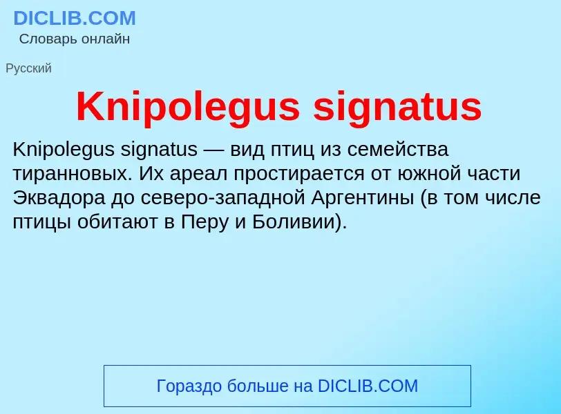 ¿Qué es Knipolegus signatus? - significado y definición