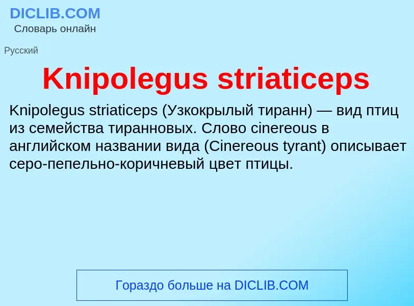 ¿Qué es Knipolegus striaticeps? - significado y definición