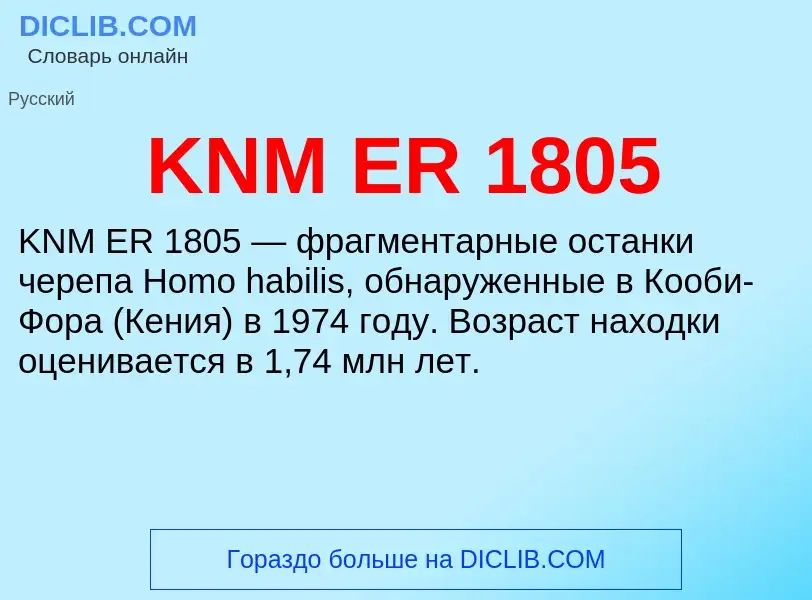 Τι είναι KNM ER 1805 - ορισμός