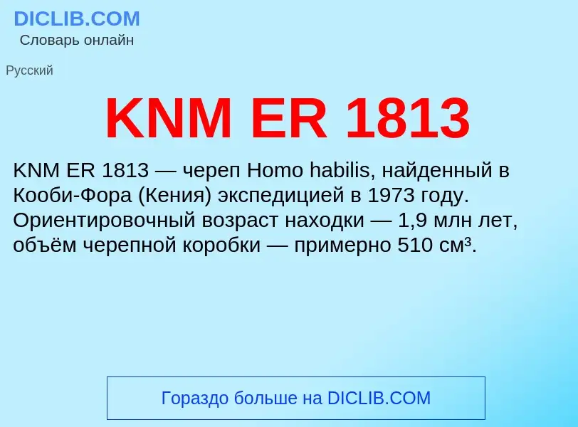 ¿Qué es KNM ER 1813? - significado y definición