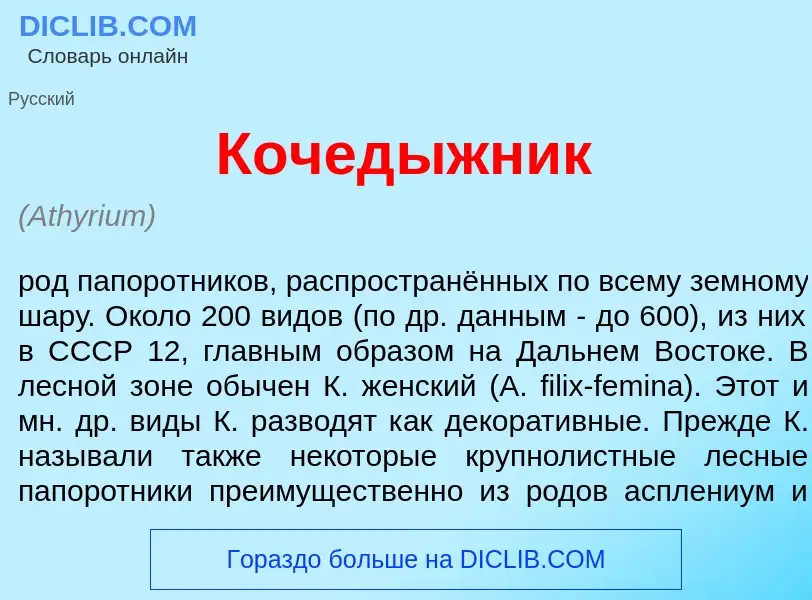 O que é Кочед<font color="red">ы</font>жник - definição, significado, conceito