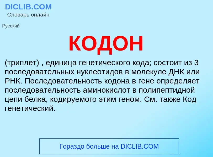 O que é КОДОН - definição, significado, conceito