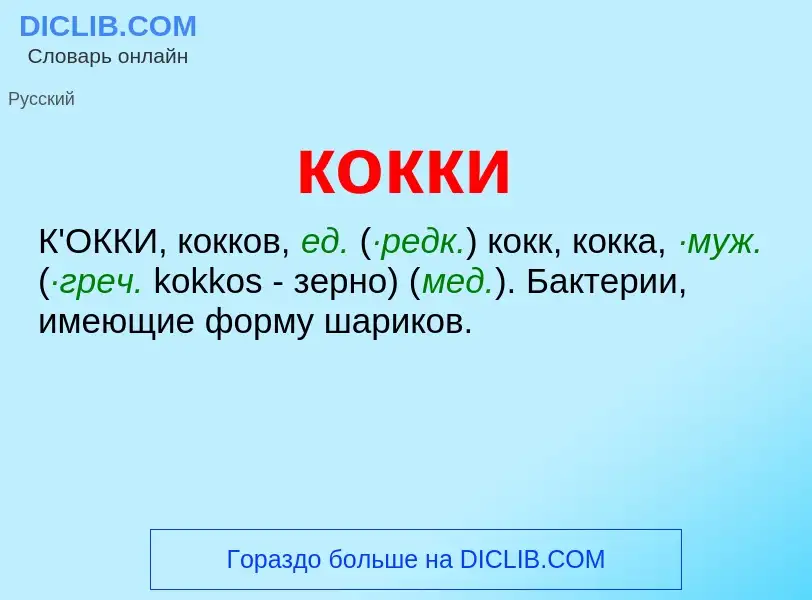 ¿Qué es кокки? - significado y definición