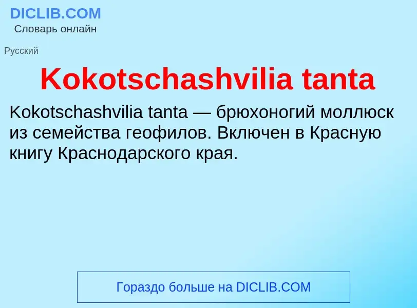 Was ist Kokotschashvilia tanta - Definition