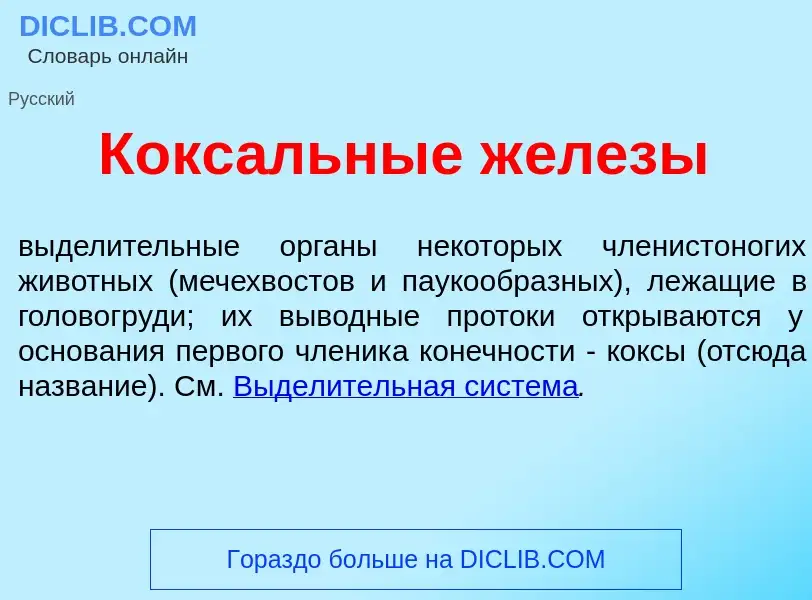 Was ist Кокс<font color="red">а</font>льные ж<font color="red">е</font>лезы - Definition