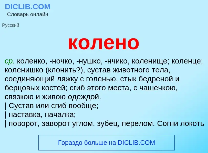 Что такое колено - определение