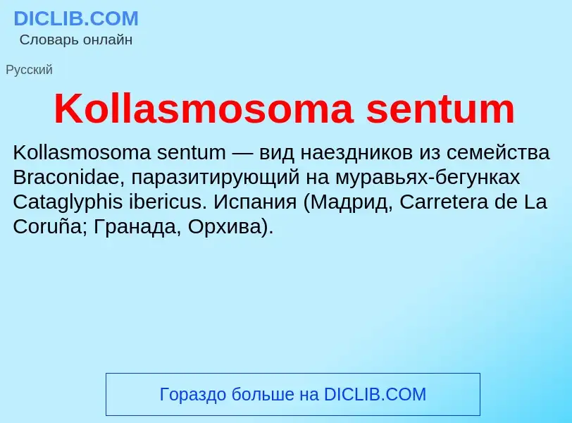 ¿Qué es Kollasmosoma sentum? - significado y definición