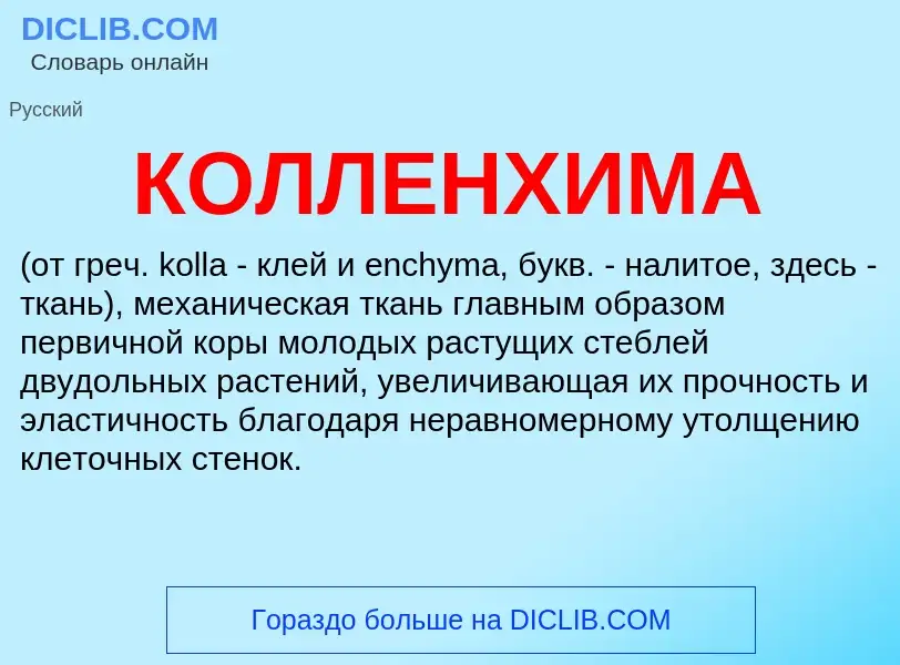 What is КОЛЛЕНХИМА - meaning and definition