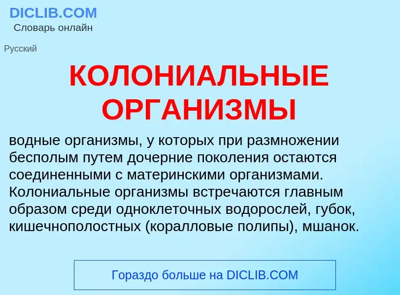 Τι είναι КОЛОНИАЛЬНЫЕ ОРГАНИЗМЫ - ορισμός