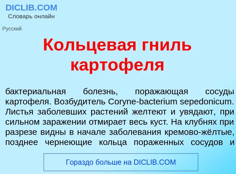 O que é Кольцев<font color="red">а</font>я гниль карт<font color="red">о</font>феля - definição, sig