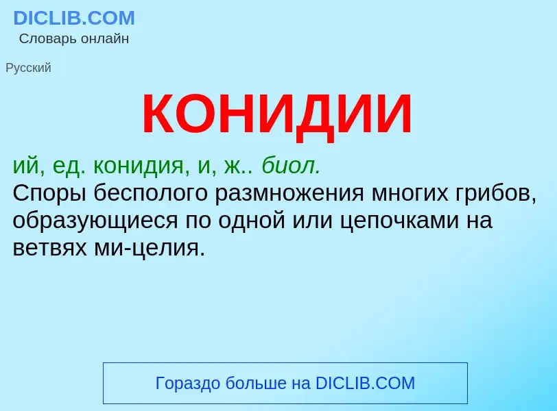 ¿Qué es КОНИДИИ? - significado y definición