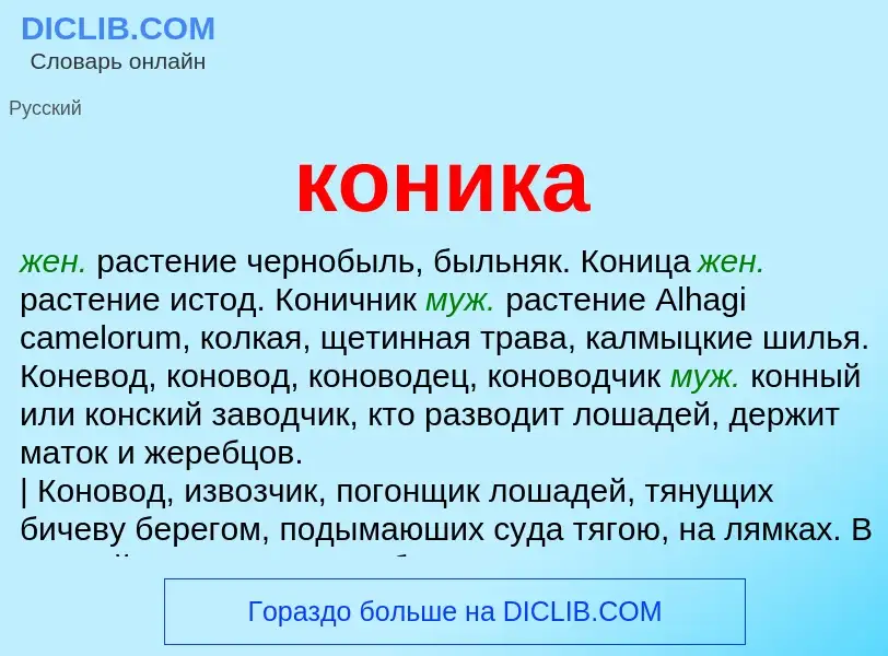 Что такое коника - определение