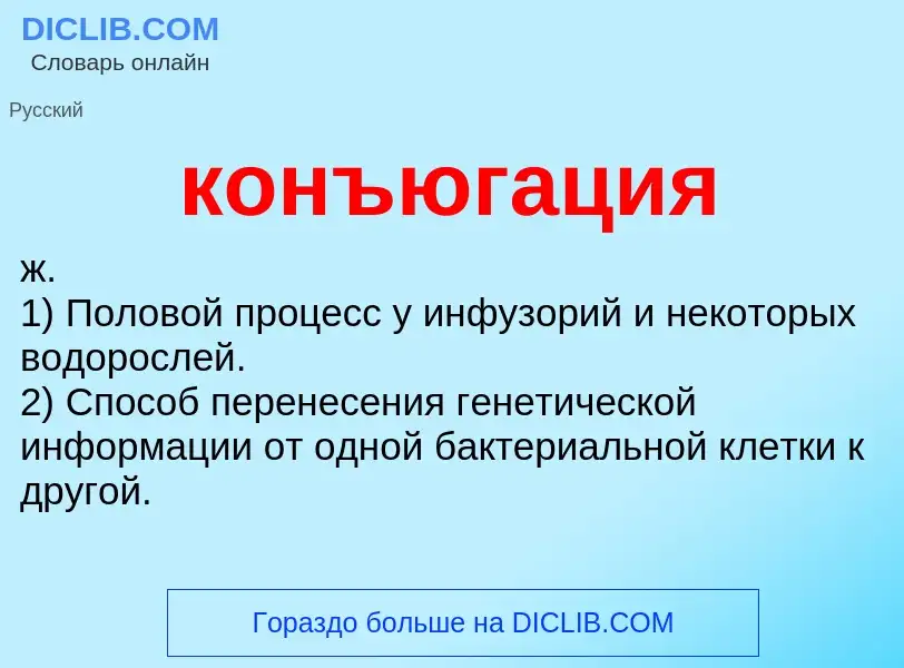 ¿Qué es конъюгация? - significado y definición