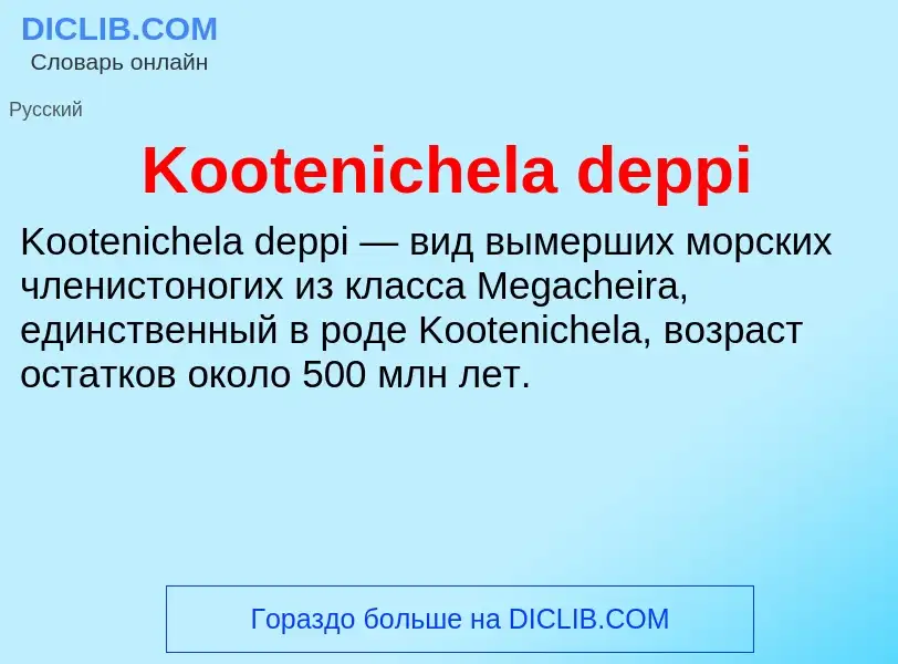 Was ist Kootenichela deppi - Definition