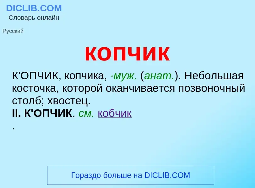 O que é копчик - definição, significado, conceito